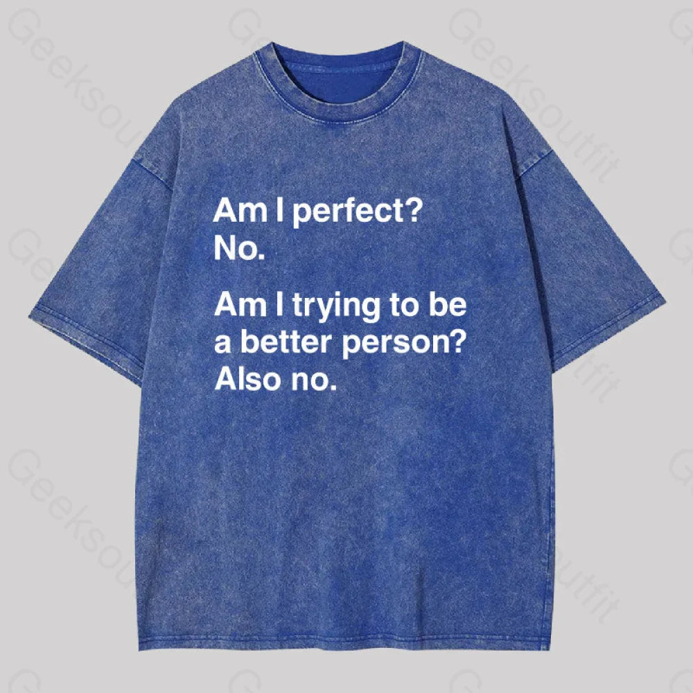 Am I Perfect No Washed T-Shirt Blue / S