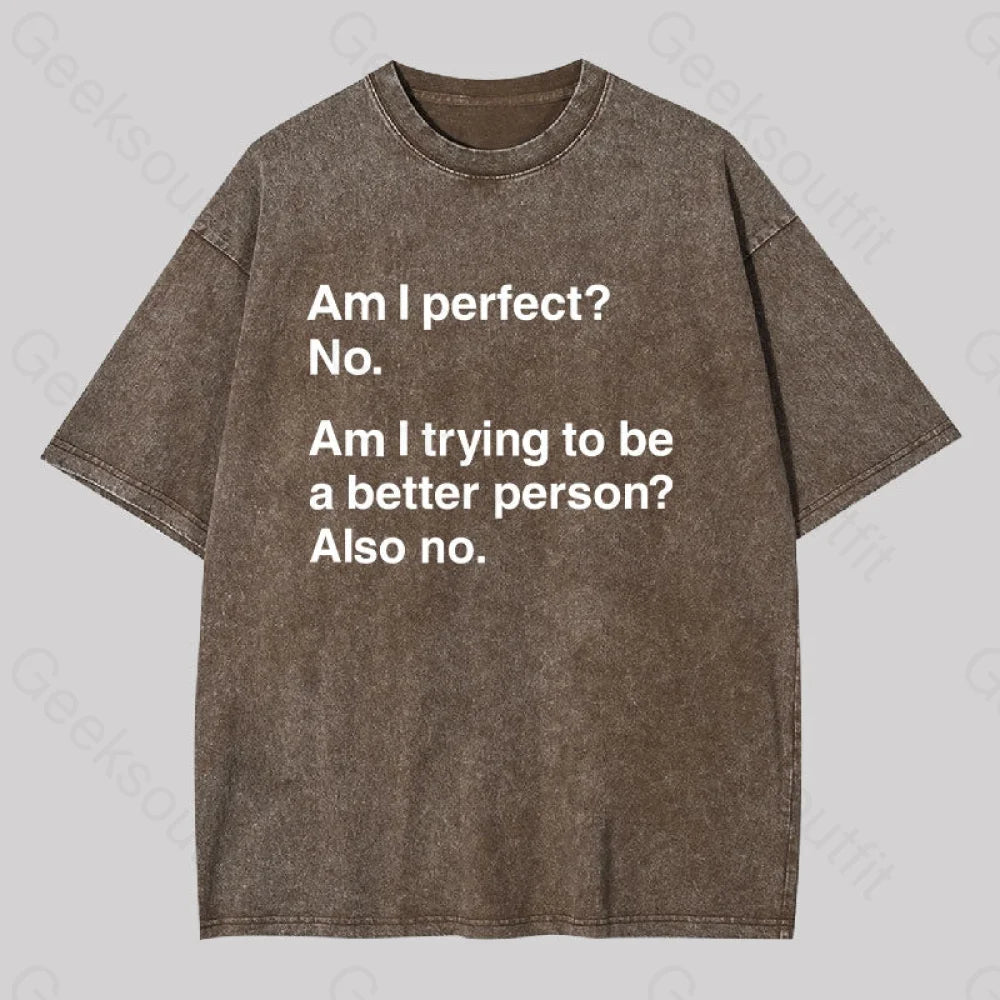 Am I Perfect No Washed T-Shirt Coffee / S