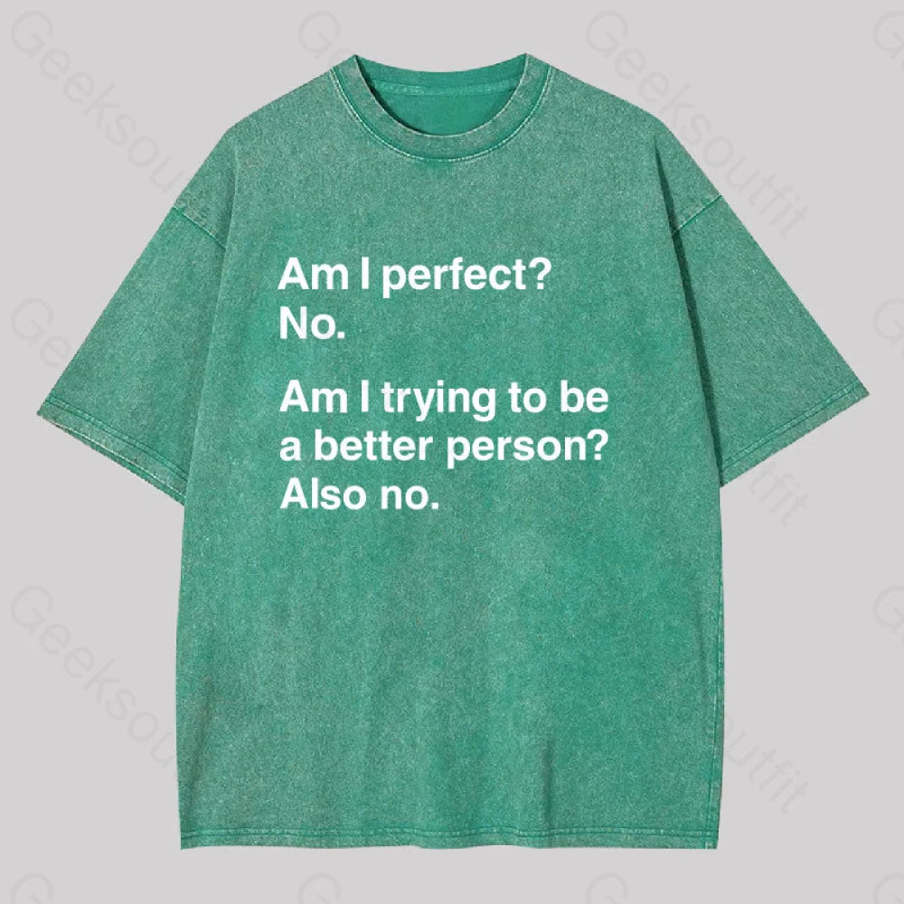 Am I Perfect No Washed T-Shirt Grass Green / S