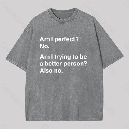 Am I Perfect No Washed T-Shirt Grey / S