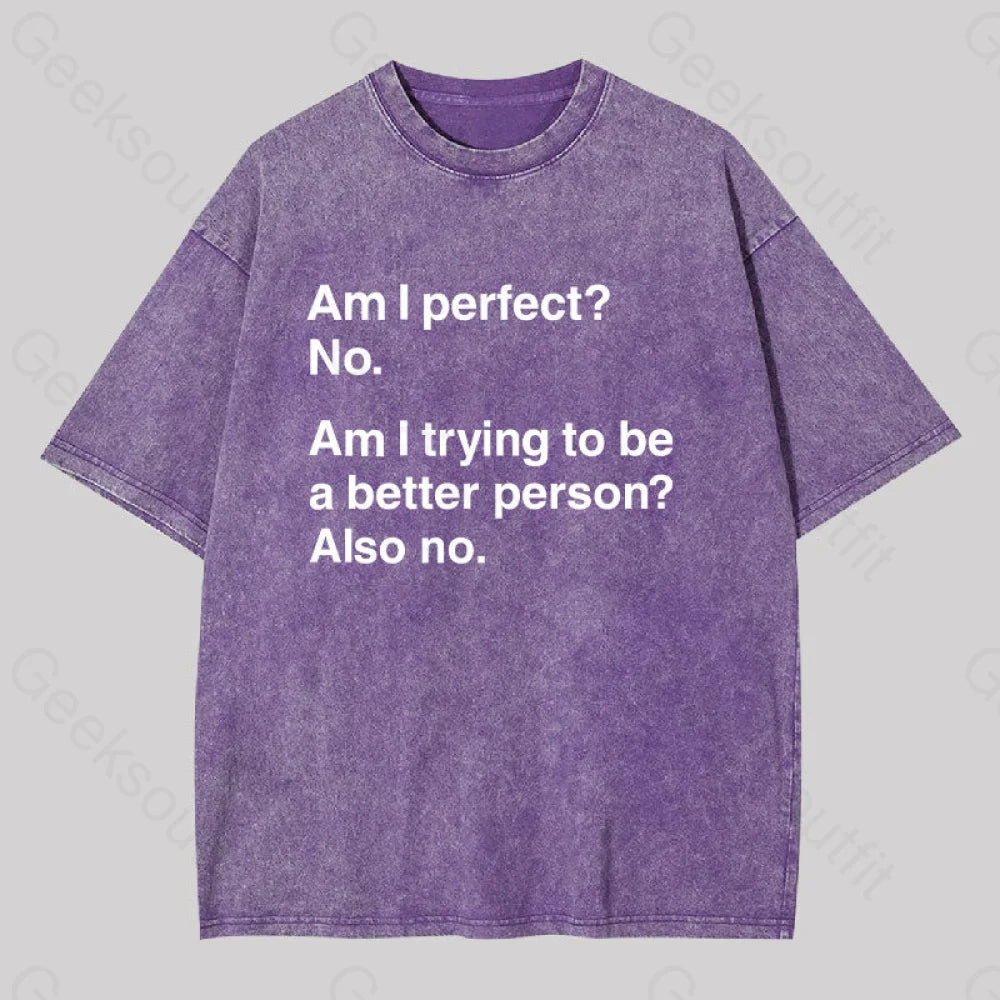 Am I Perfect No Washed T-Shirt Purple / S