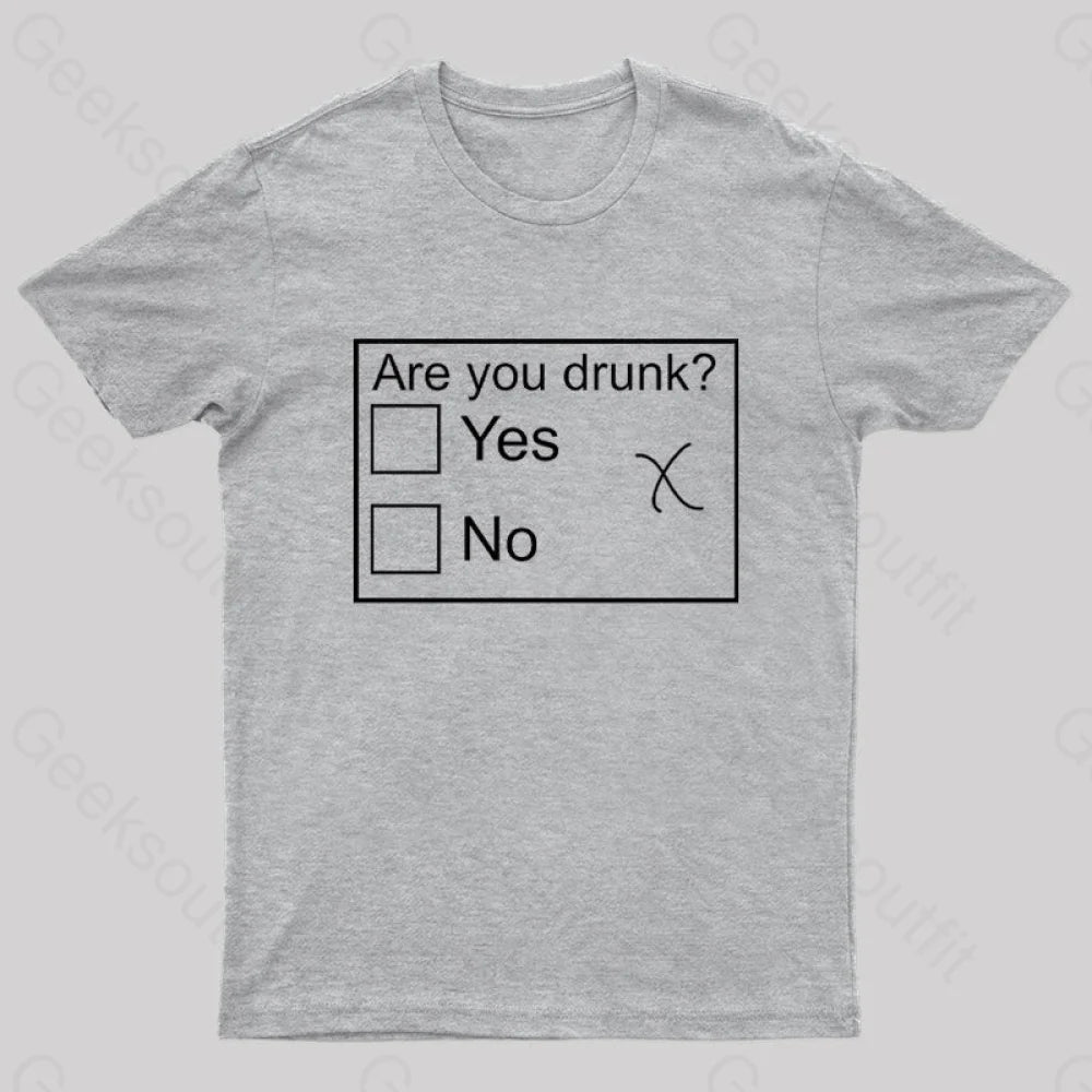 Are You Drunk Nerd T-Shirt Grey / S