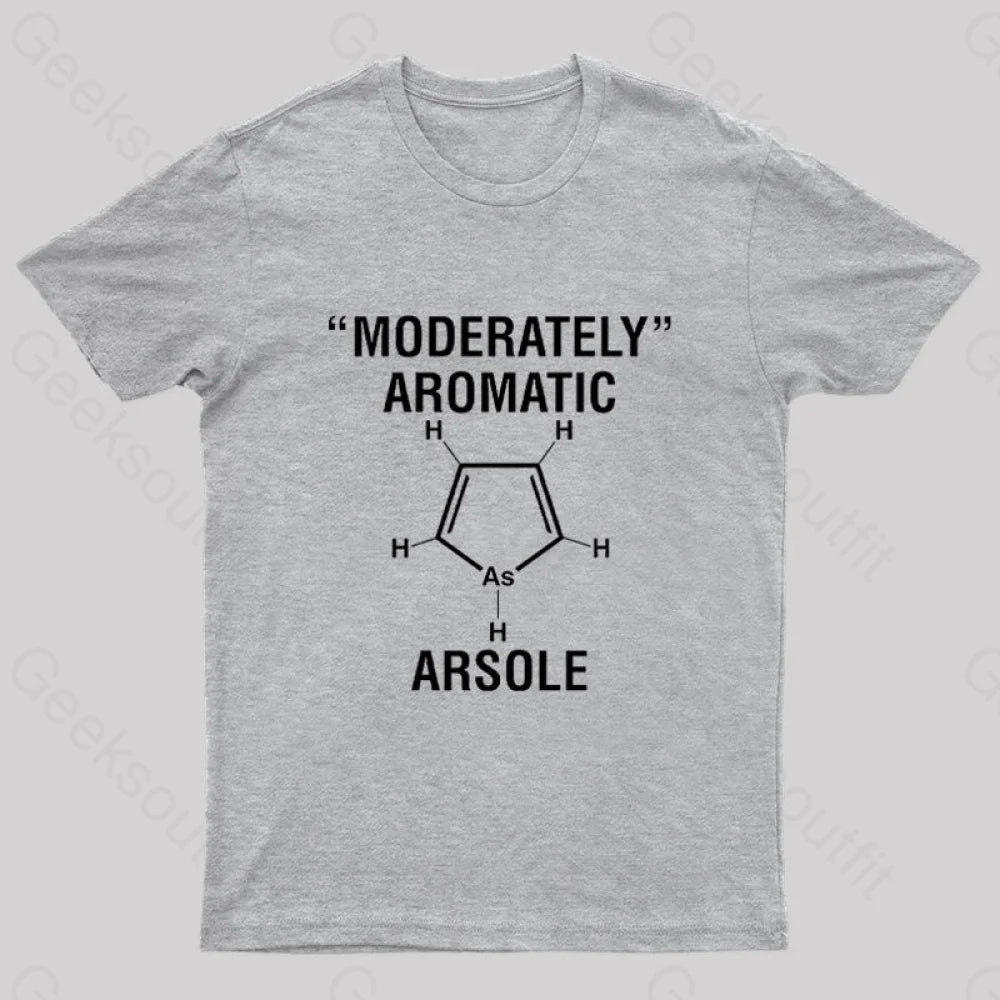 Arsole Geek T-Shirt Grey / S