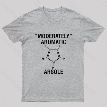 Arsole Geek T-Shirt Grey / S