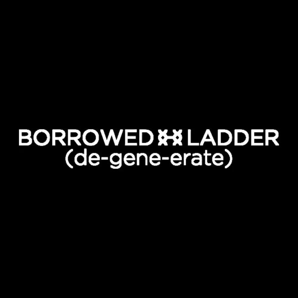 Borrowed Ladder Nerd T-Shirt