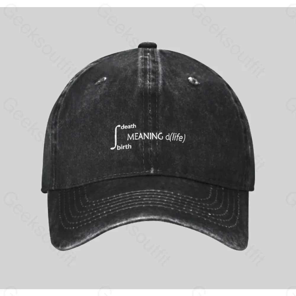 Calculus Meaning Of Life Washed Vintage Baseball Cap Black