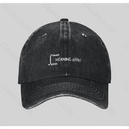 Calculus Meaning Of Life Washed Vintage Baseball Cap Black