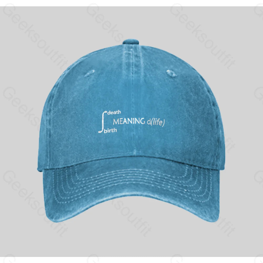 Calculus Meaning Of Life Washed Vintage Baseball Cap Blue