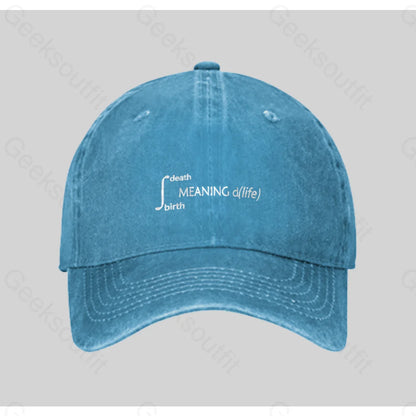 Calculus Meaning Of Life Washed Vintage Baseball Cap Blue