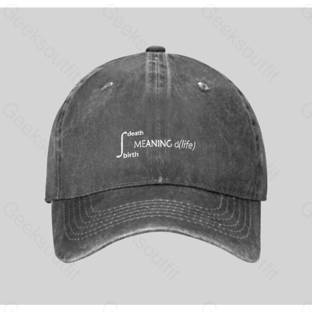 Calculus Meaning Of Life Washed Vintage Baseball Cap Grey