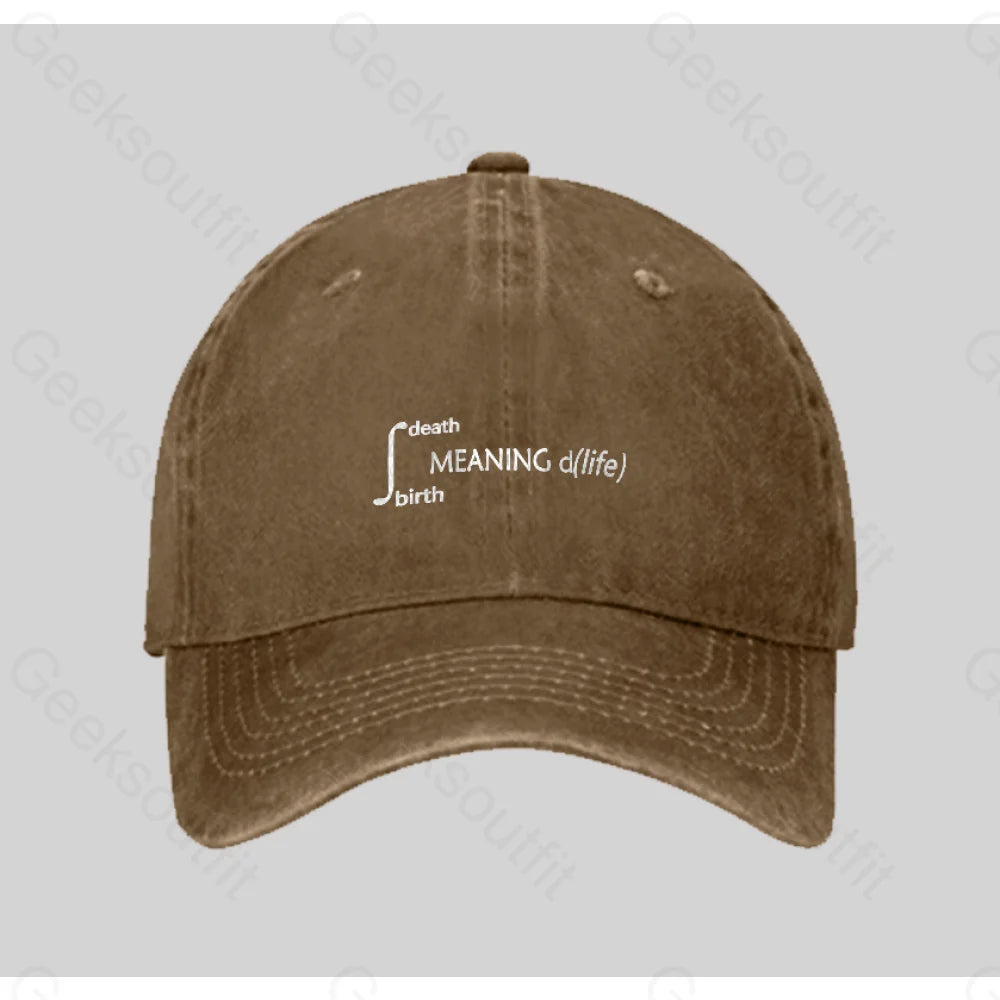 Calculus Meaning Of Life Washed Vintage Baseball Cap Natural