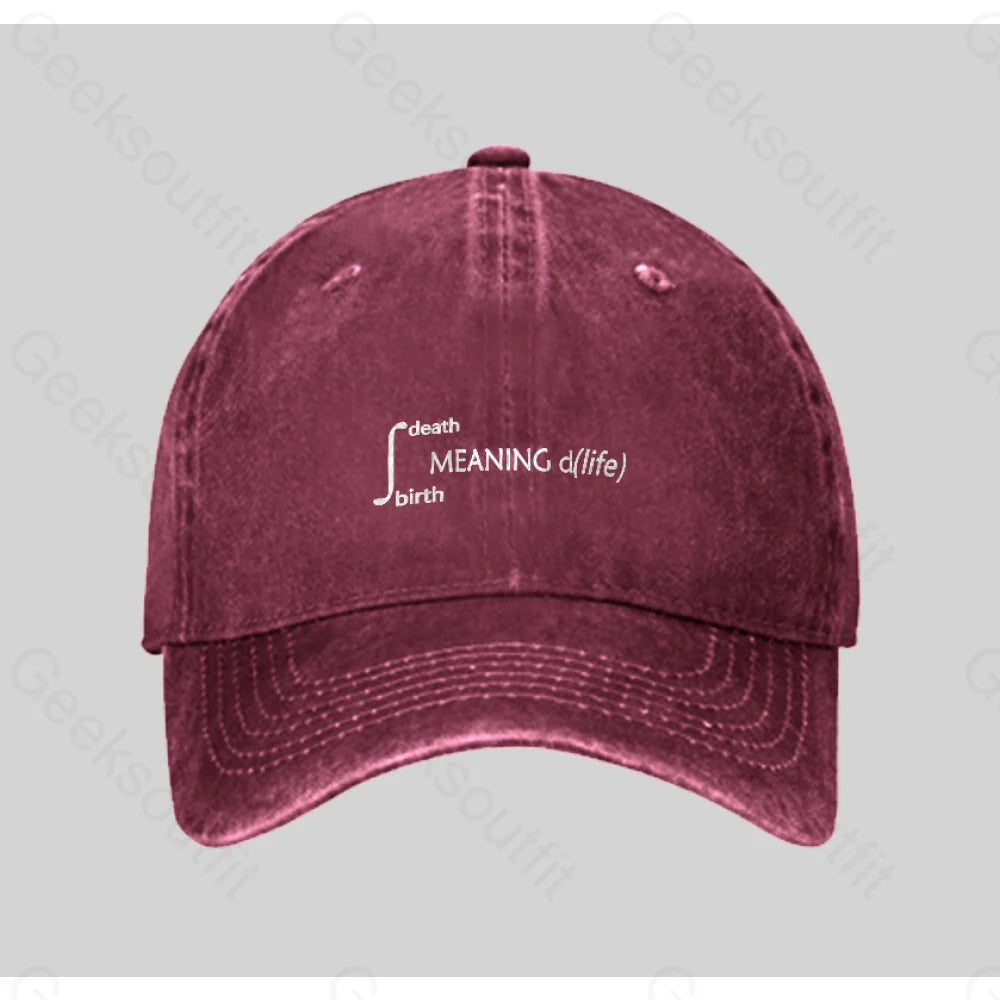 Calculus Meaning Of Life Washed Vintage Baseball Cap Red