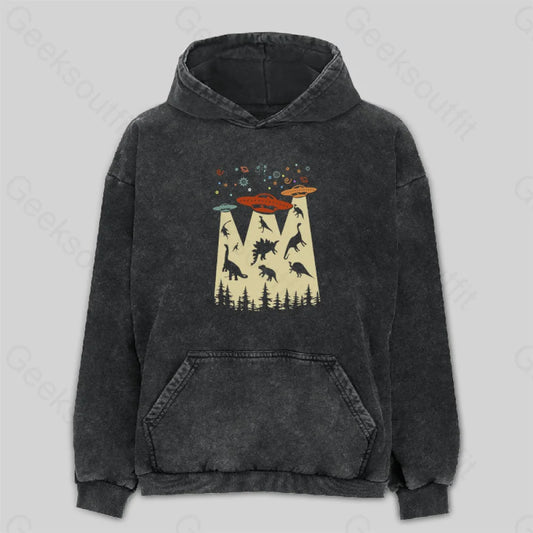 Dinosaur Planet Washed Hoodie M