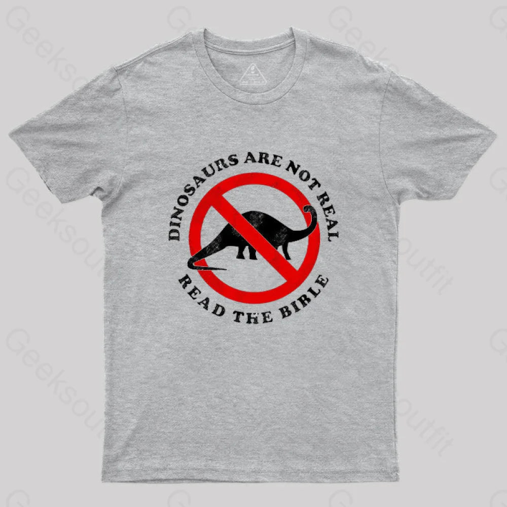 Dinosaurs Are Not Real Read The Bible T-Shirt Grey / S