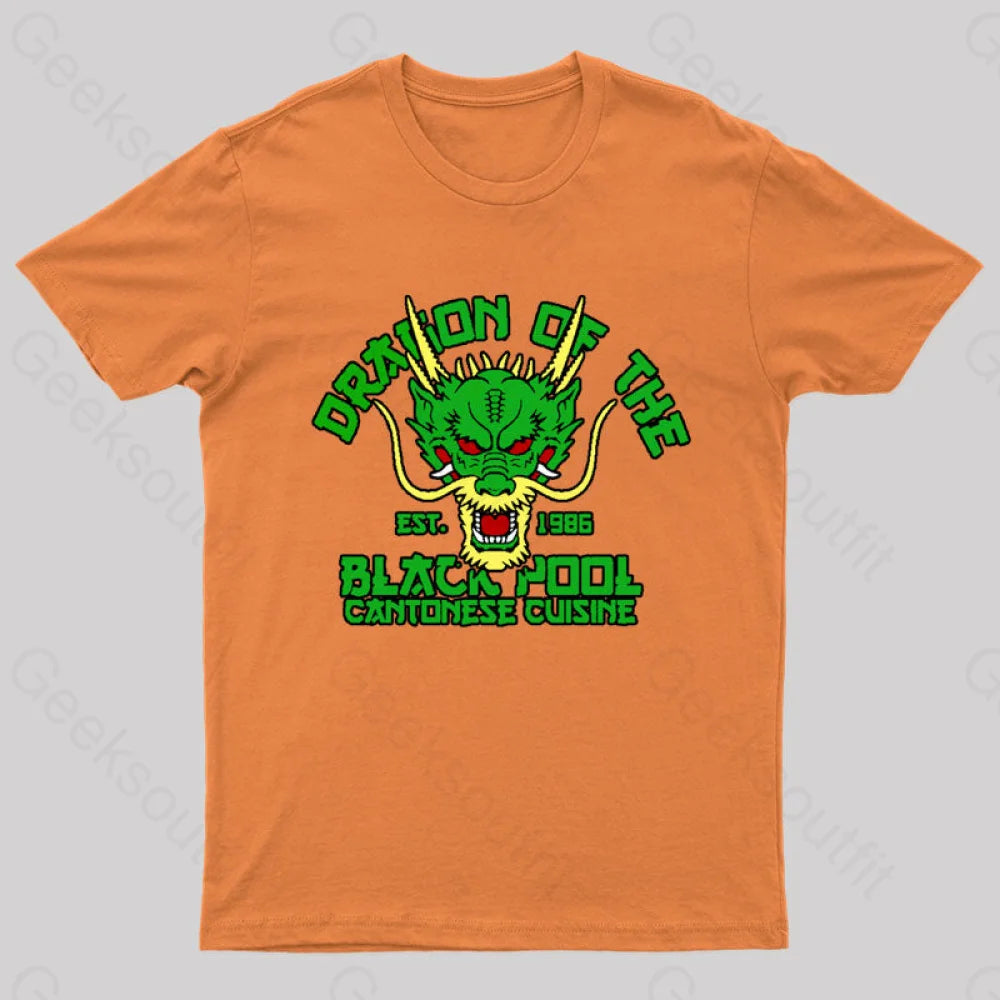 Dragon Of The Black Pool Nerd T-Shirt Orange / S