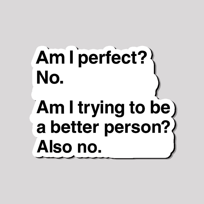 Am I Perfect No Refrigerator Magnet