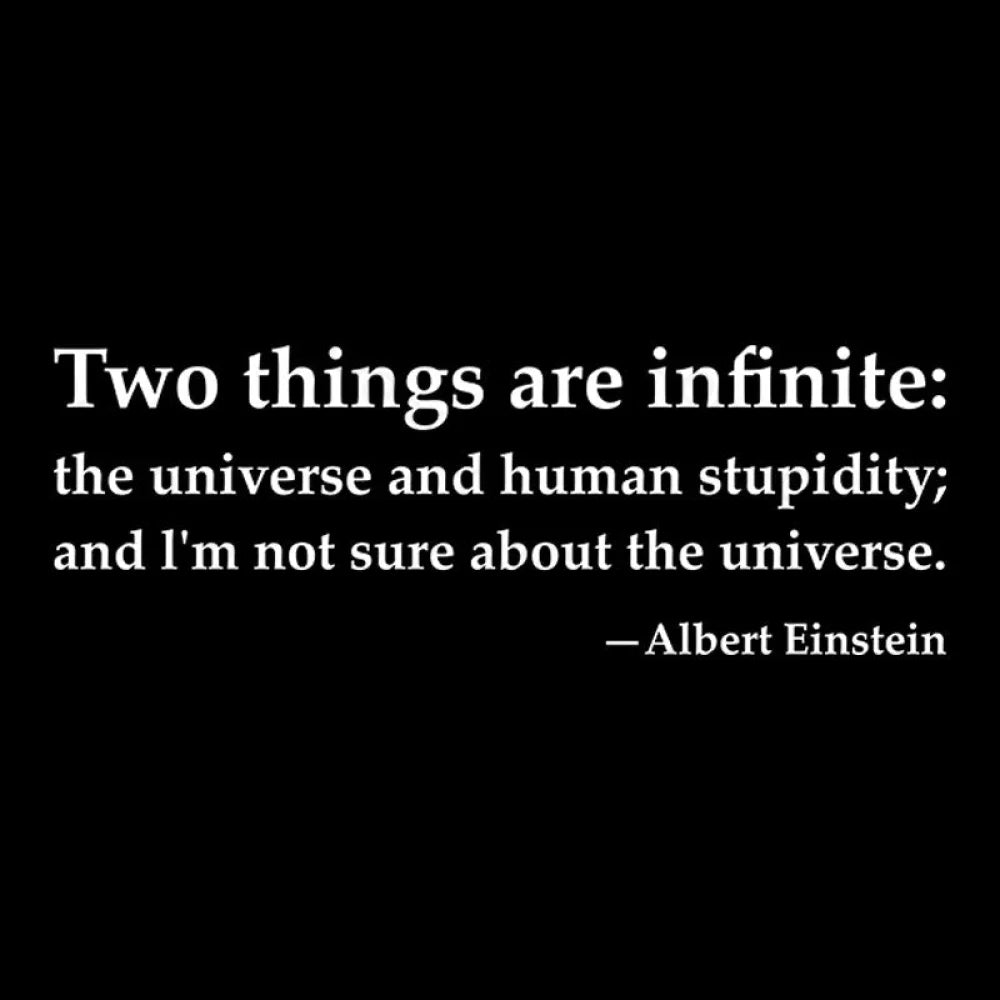 Einstein Quotes Two Things Are Infinite Nerd T-Shirt