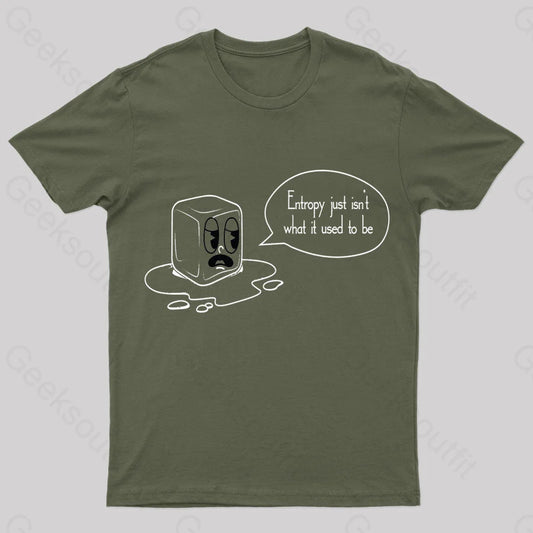 Entropy Just Isn’t What It Used To Be Geek T-Shirt Army Green / S