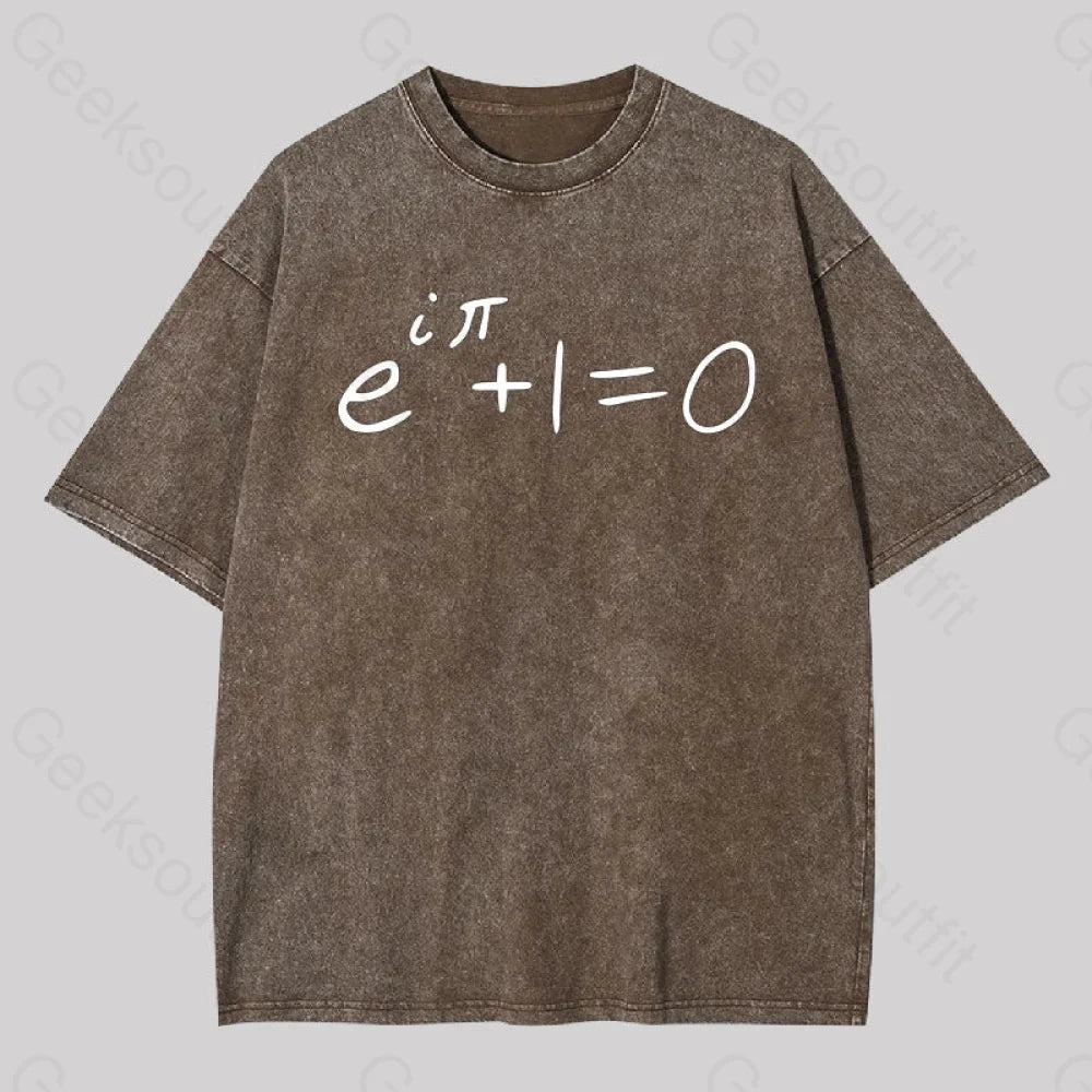 Euler Identity Classic Geek Washed T-Shirt Coffee / S