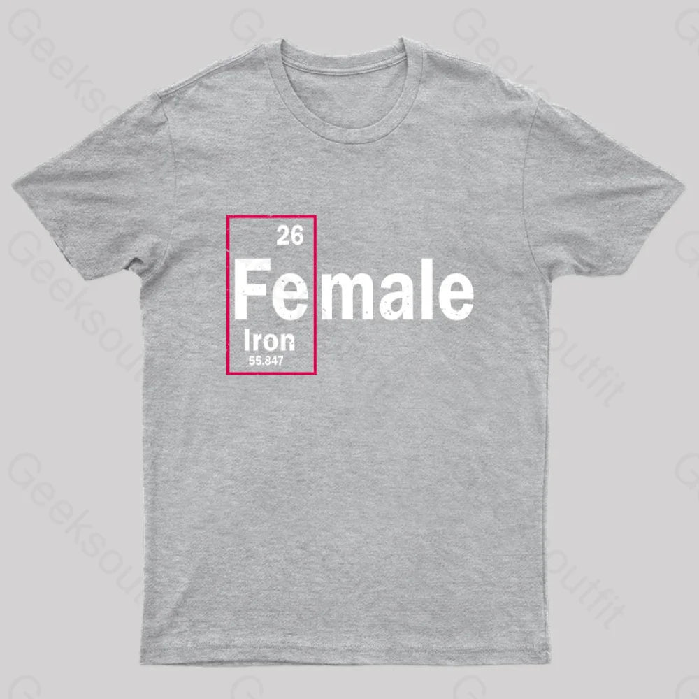 Fe-Male Iron Geek T-Shirt Grey / S