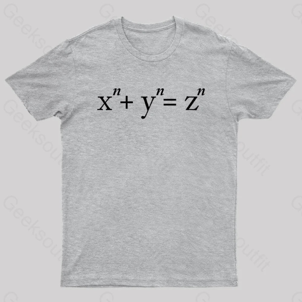 Fermat’s Conjecture Geek T-Shirt Grey / S