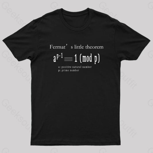 Fermat’s Little Theorem Geek T-Shirt Black / S