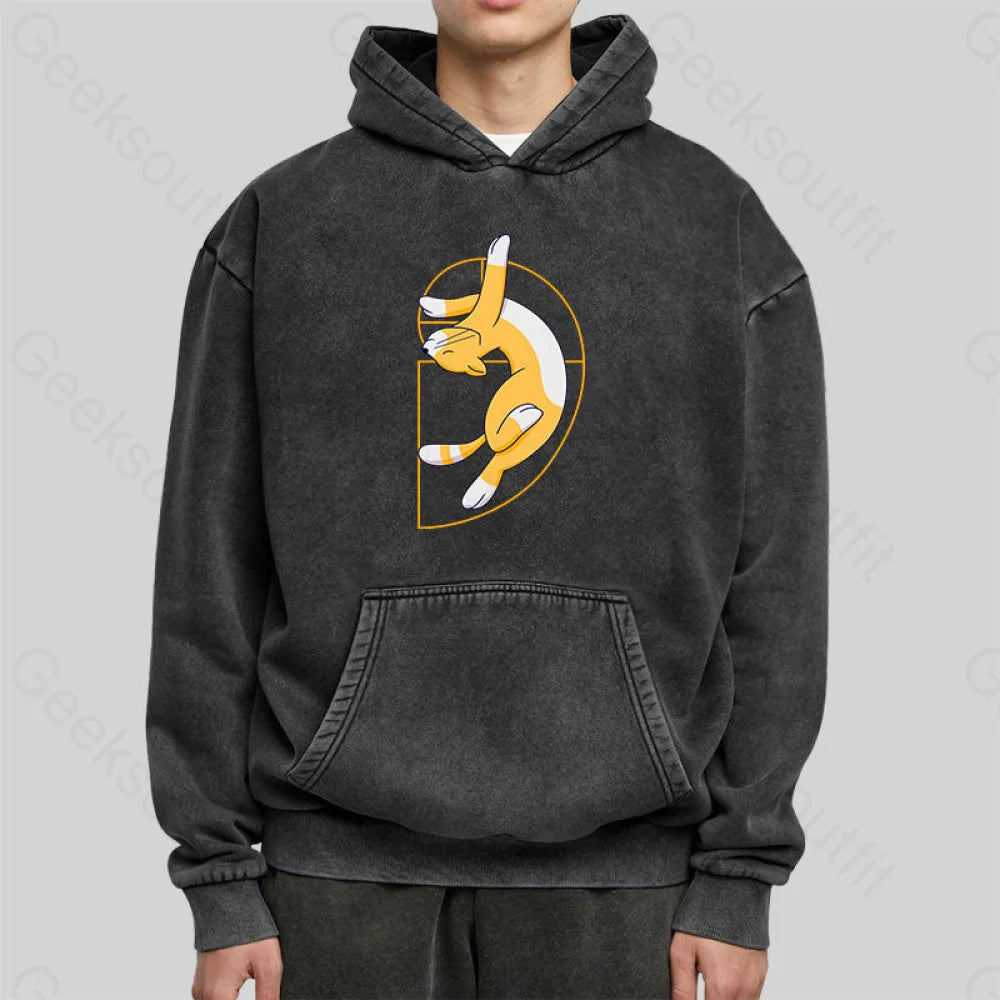 Fibonacci Spiral Cat Washed Hoodie