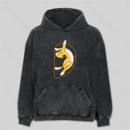 Fibonacci Spiral Cat Washed Hoodie M