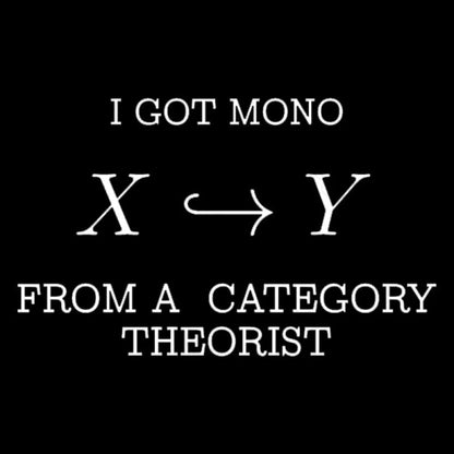 From A Category Theorist Geek T-Shirt