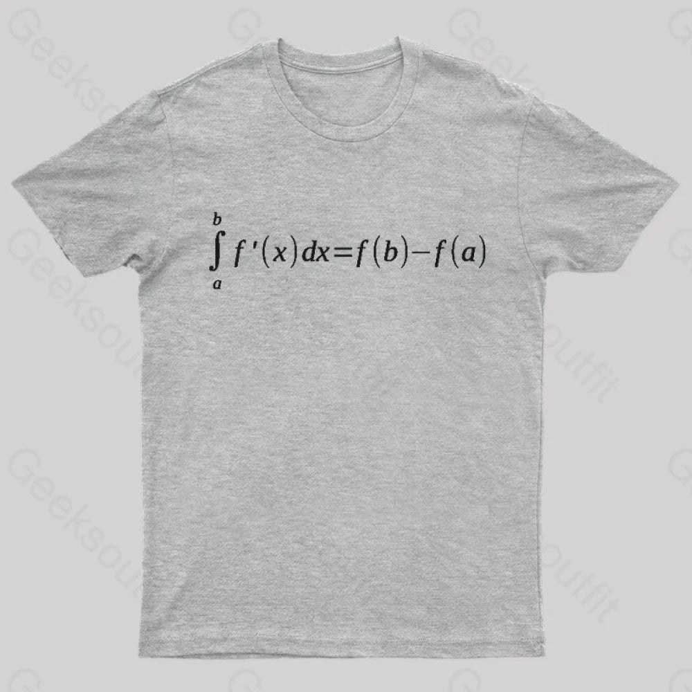 Fundamental Theorem Of Calculus T-Shirt Grey / S