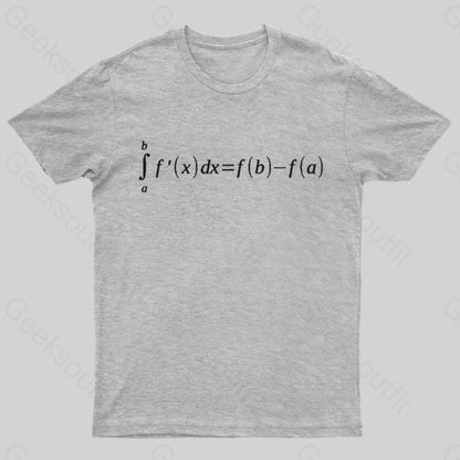 Fundamental Theorem Of Calculus T-Shirt Grey / S