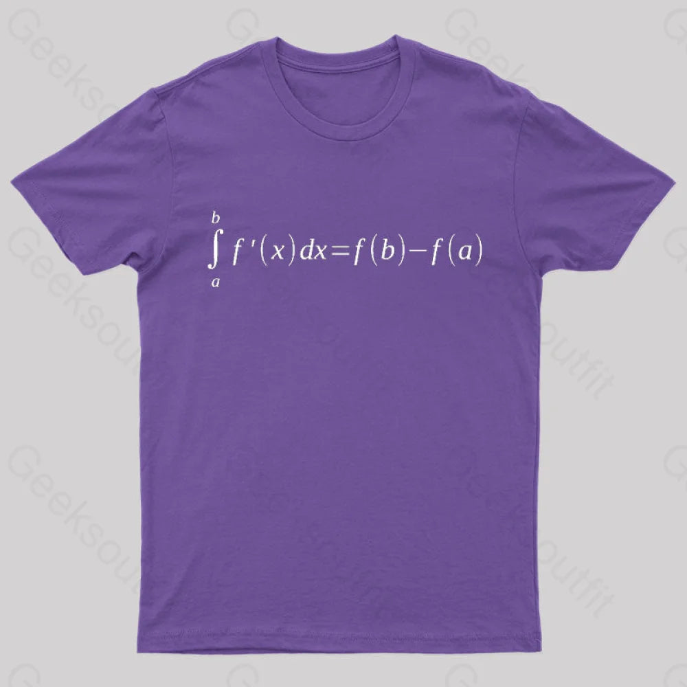 Fundamental Theorem Of Calculus T-Shirt Purple / S