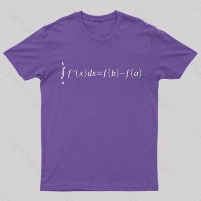 Fundamental Theorem Of Calculus T-Shirt Purple / S