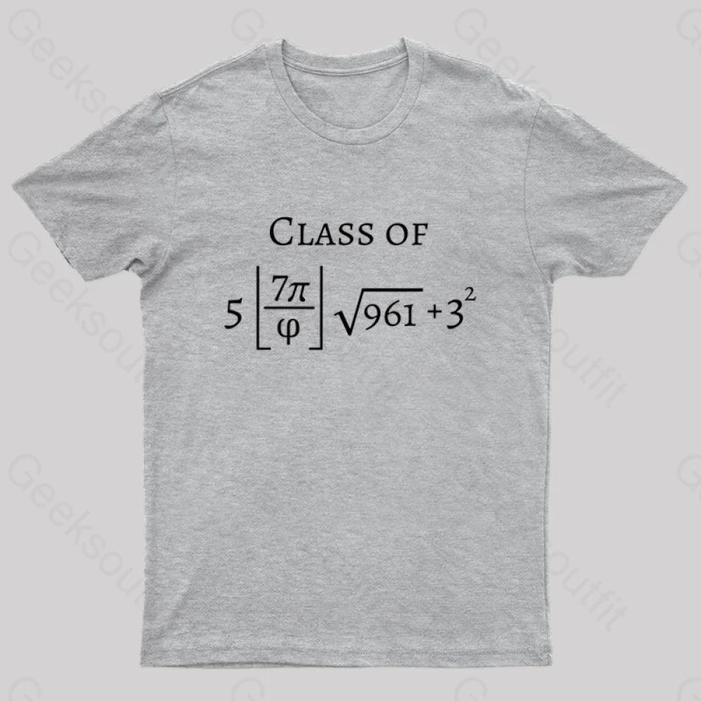 Funny Math Geek T-Shirt Grey / S