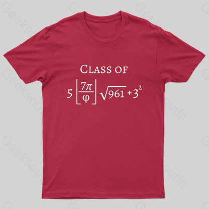 Funny Math Geek T-Shirt Red / S