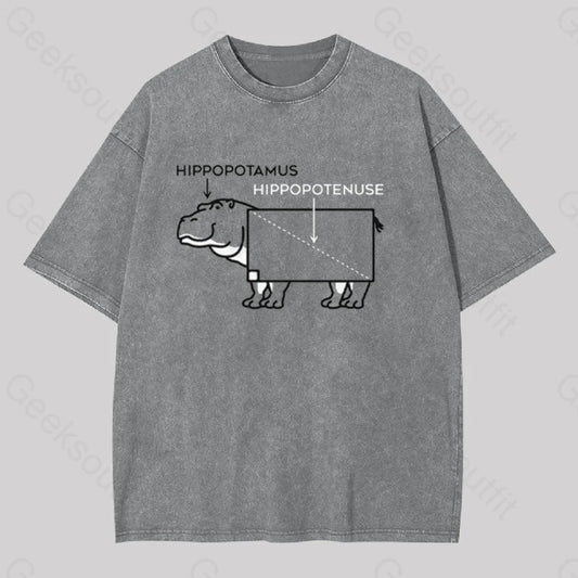 Hippopotamus And Hypotenuse Geek Washed T-Shirt Grey / S