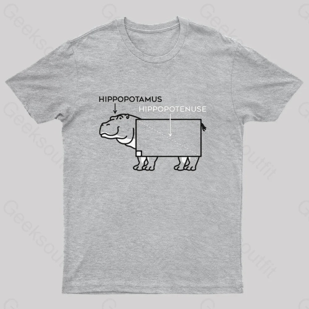 Hippopotamus And Hypotenuse T-Shirt Grey / S