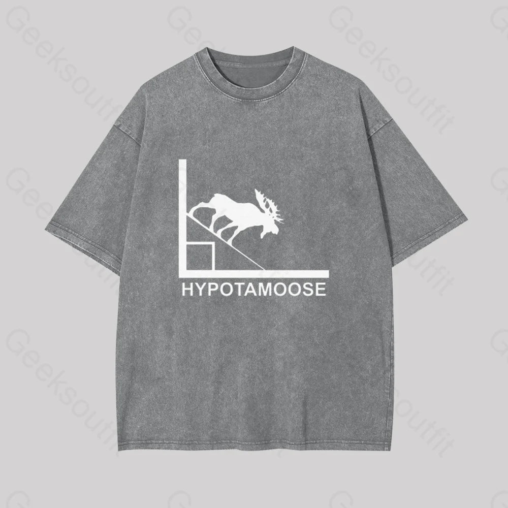 Hypotamoose Pun Geek Washed T-Shirt Grey / S