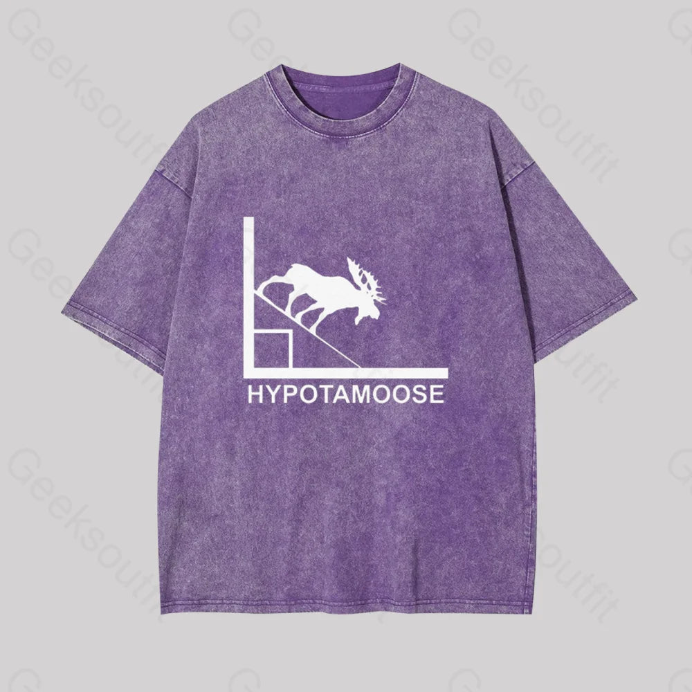 Hypotamoose Pun Geek Washed T-Shirt Purple / S