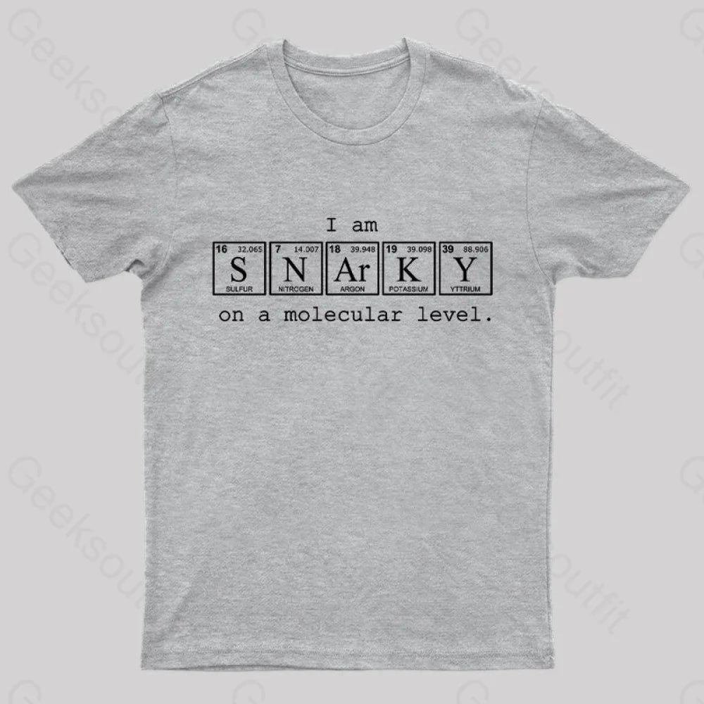 I Am Snarky On A Molecular Level Nerd T-Shirt Grey / S