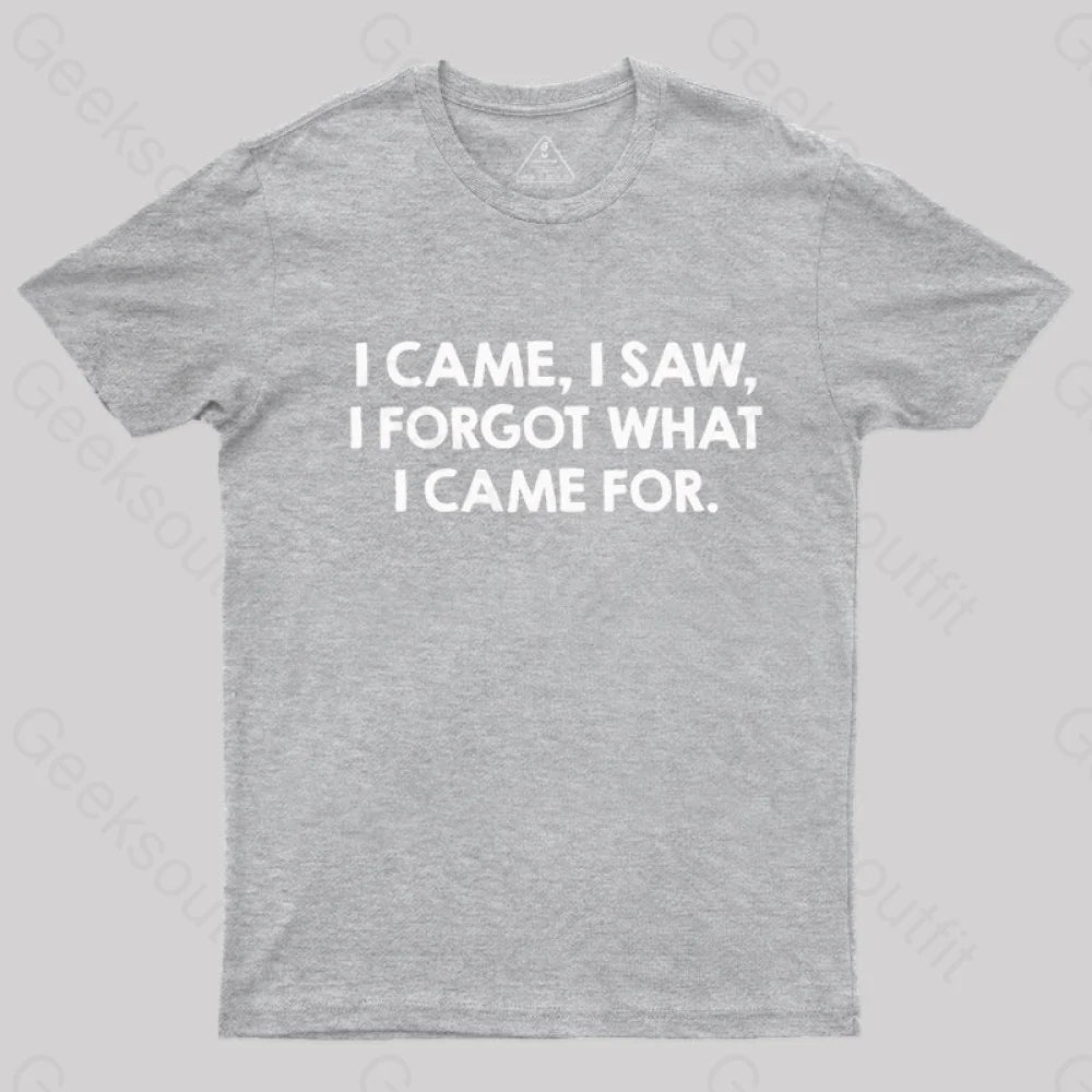 I Came And Saw Nerd T-Shirt Grey / S