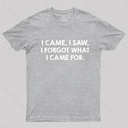 I Came And Saw Nerd T-Shirt Grey / S