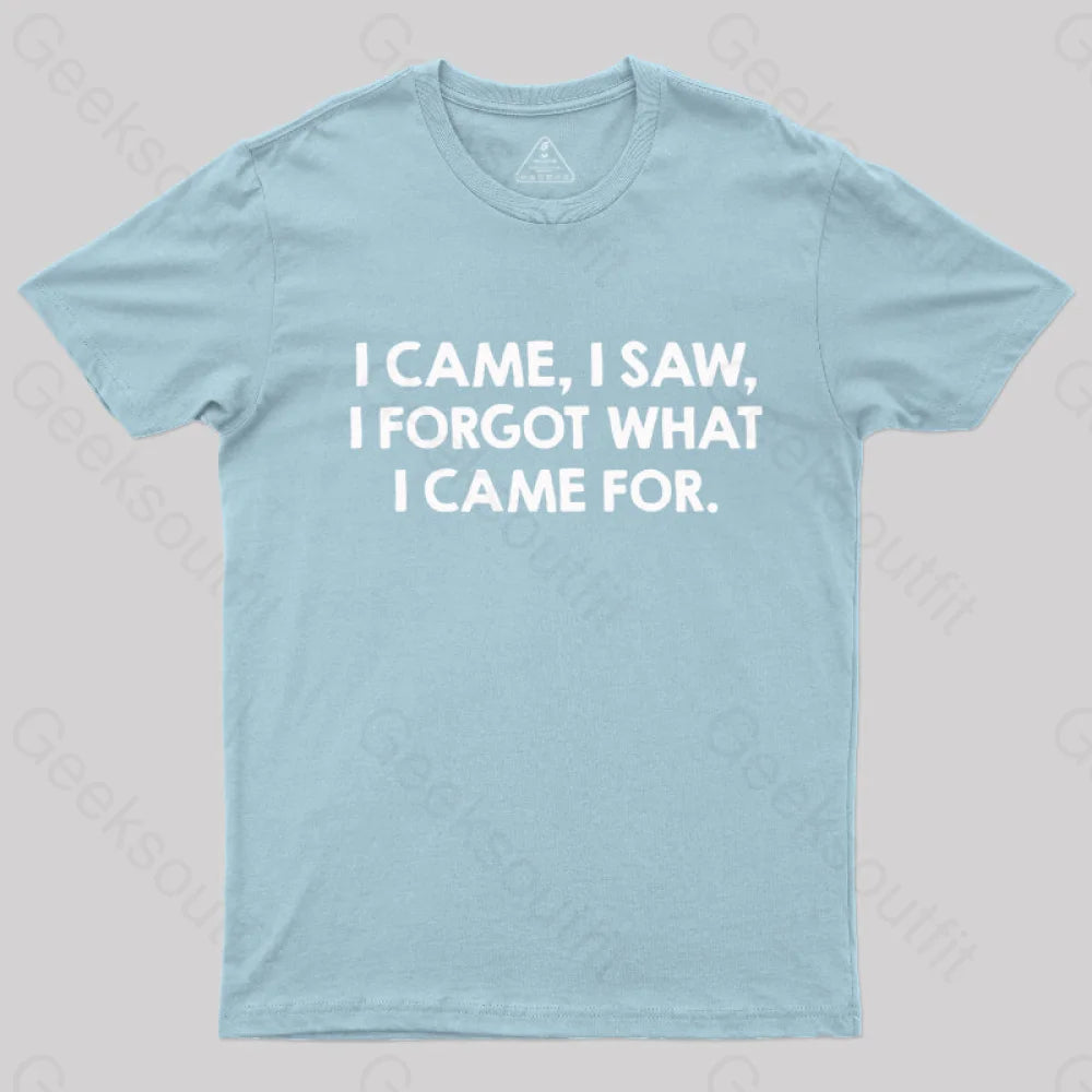 I Came And Saw Nerd T-Shirt Light Blue / S