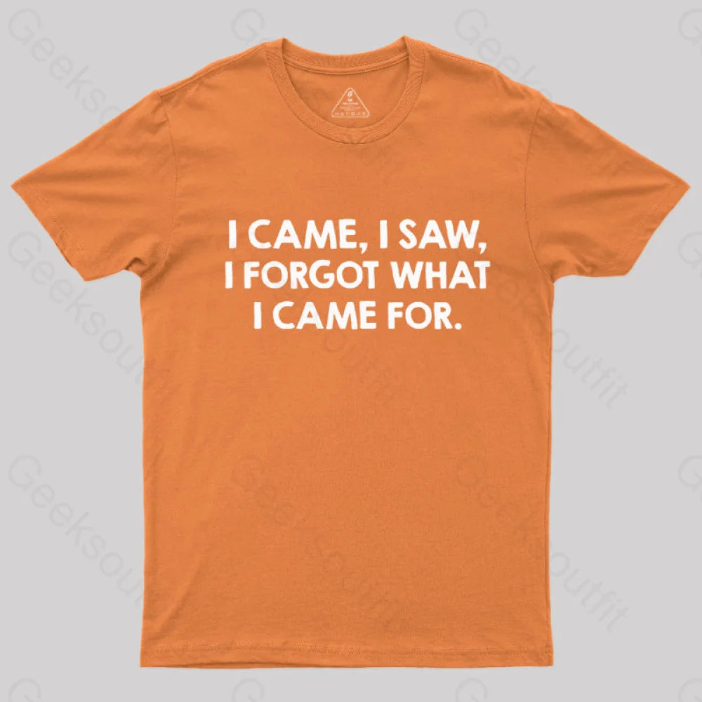 I Came And Saw Nerd T-Shirt Orange / S