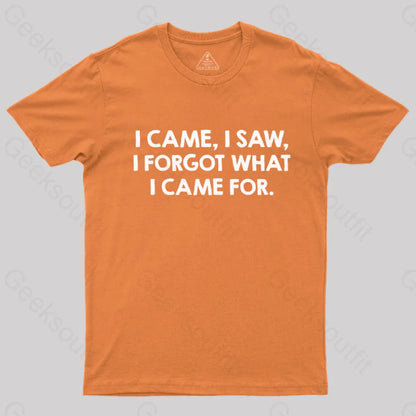 I Came And Saw Nerd T-Shirt Orange / S