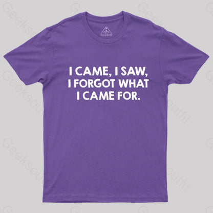 I Came And Saw Nerd T-Shirt Purple / S