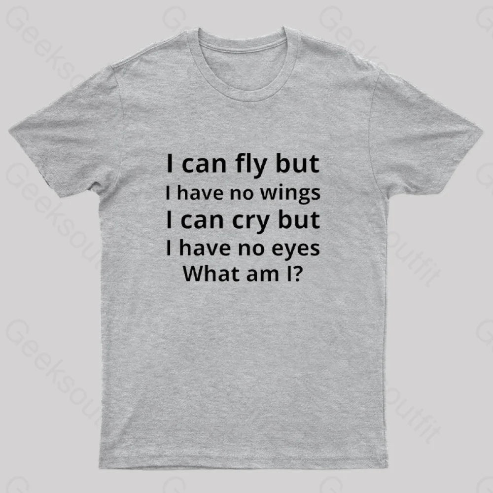 I Can Fly But Have No Wings Geek T-Shirt Grey / S