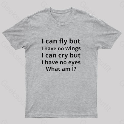 I Can Fly But Have No Wings Geek T-Shirt Grey / S