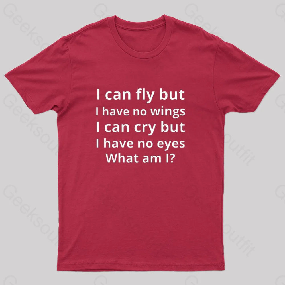 I Can Fly But Have No Wings Geek T-Shirt Red / S