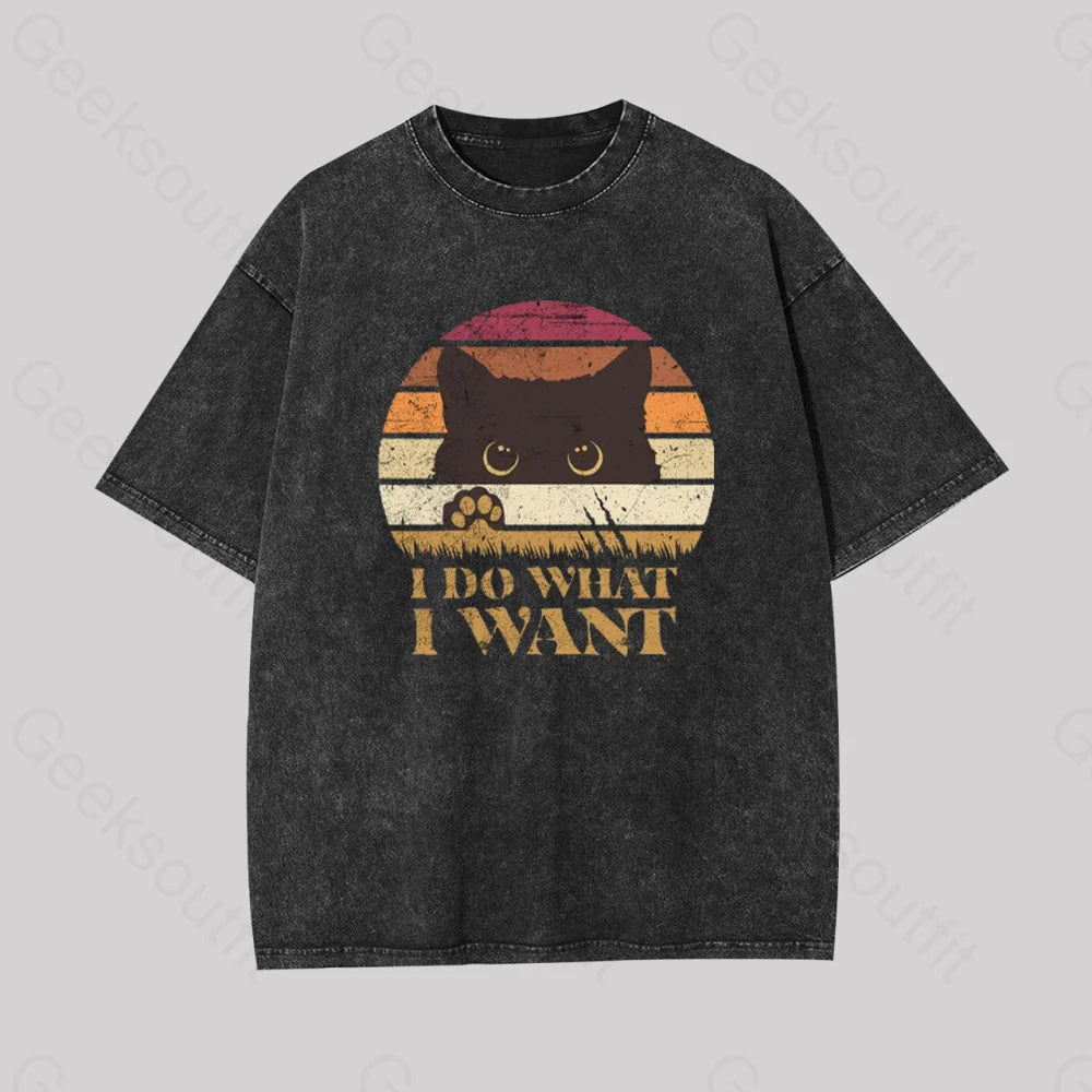 I Do What Want Geek Washed T-Shirt Black / S